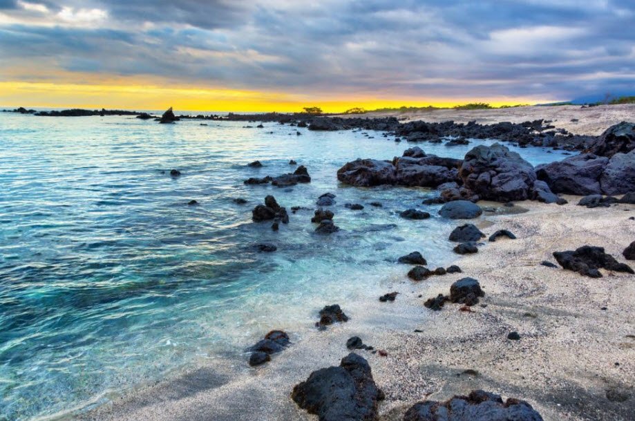 Isabela Island, Ecuador